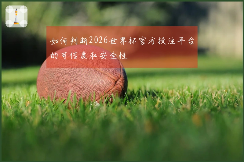 如何判断2026世界杯官方投注平台的可信度和安全性