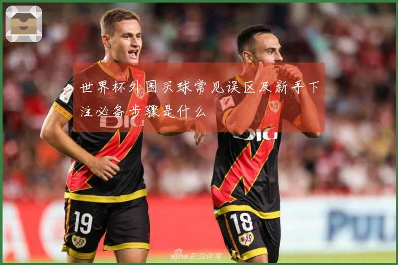 世界杯外围买球常见误区及新手下注必备步骤是什么