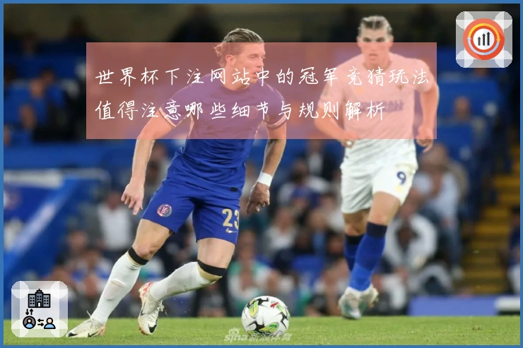 世界杯下注网站中的冠军竞猜玩法值得注意哪些细节与规则解析