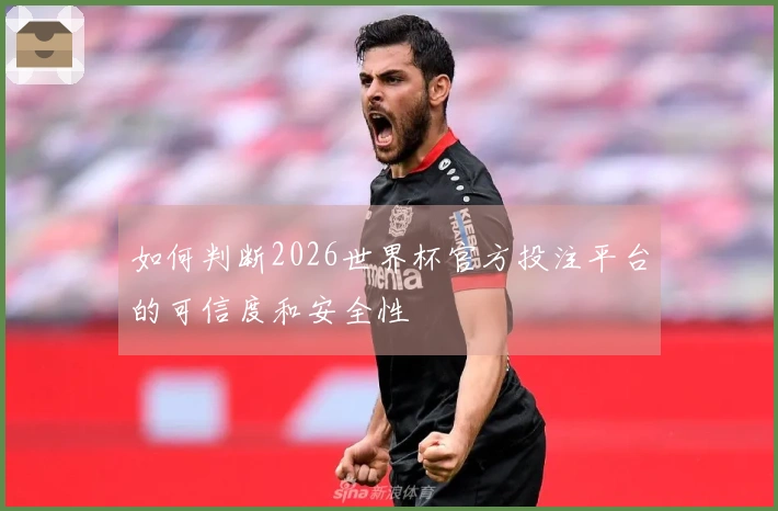 如何判断2026世界杯官方投注平台的可信度和安全性
